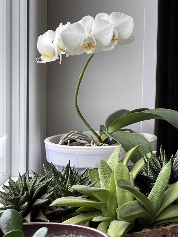 ������������� �����������