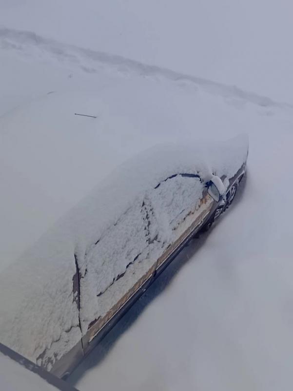 ������������� �����������