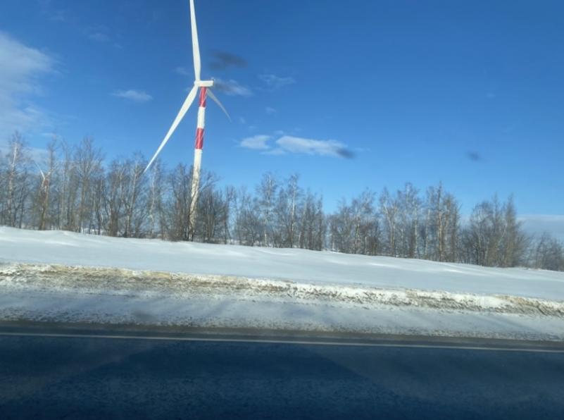 ������������� �����������