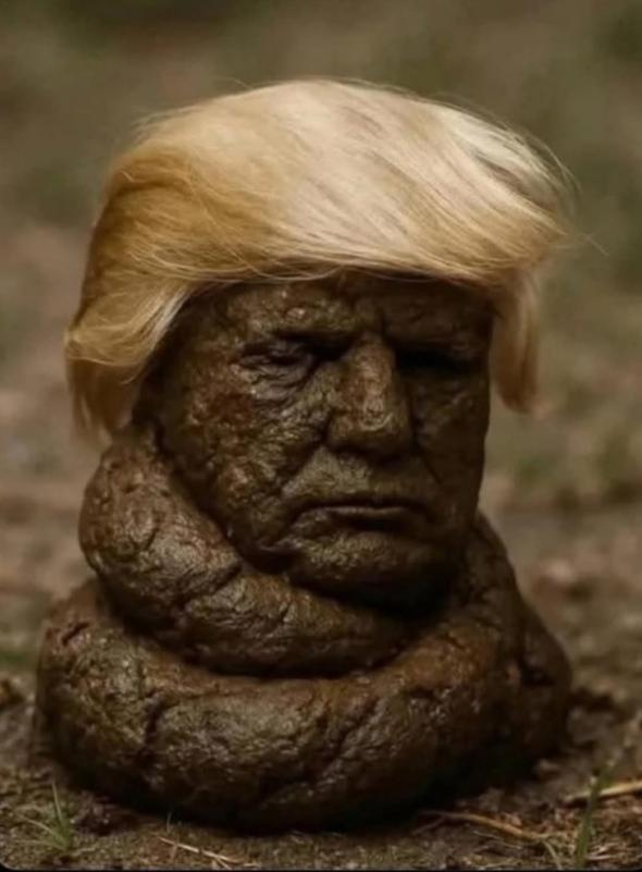 ������������� �����������