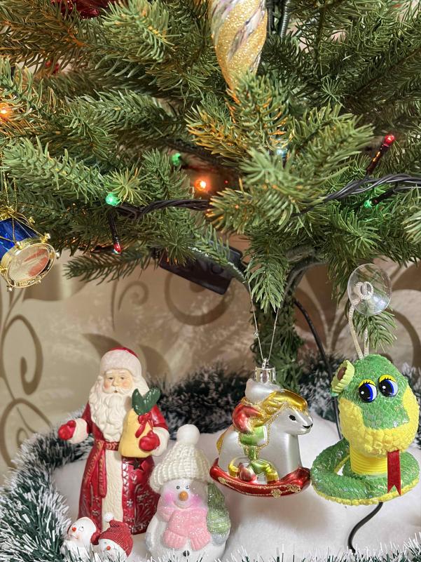 ������������� �����������